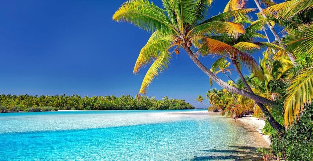 cook islands, beach, palm trees